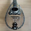 1896 Cav. Giovanni de Meglio e Figlio Neapolitan Mandolin cased