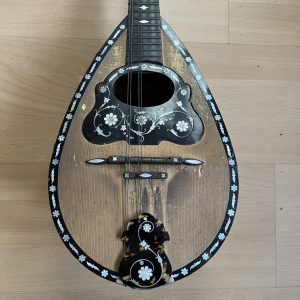 1896 Cav. Giovanni de Meglio e Figlio Neapolitan Mandolin cased