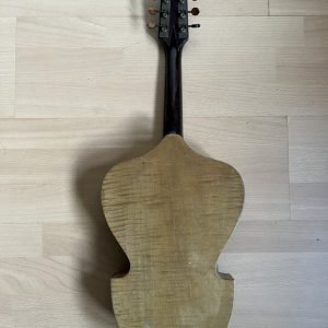 Viennese College of Music mandolin cased Made in Germany