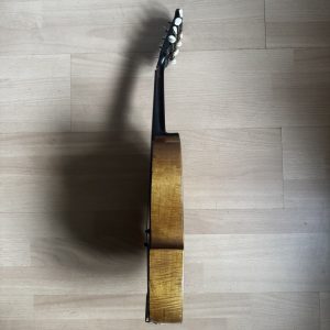 Viennese College of Music mandolin with white Art Nouveau pickguard