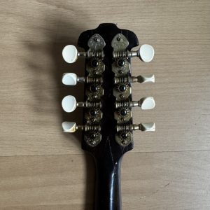 Viennese College of Music mandolin with white Art Nouveau pickguard