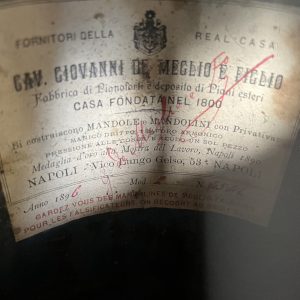 1896 Cav. Giovanni de Meglio e Figlio Neapolitan Mandolin cased