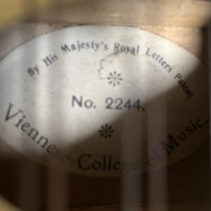 Viennese College of Music mandolin cased Made in Germany