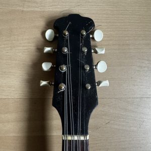 Viennese College of Music mandolin with white Art Nouveau pickguard