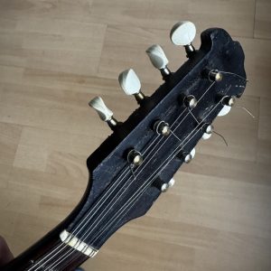 Viennese College of Music mandolin with white Art Nouveau pickguard