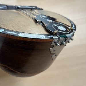 1896 Cav. Giovanni de Meglio e Figlio Neapolitan Mandolin cased