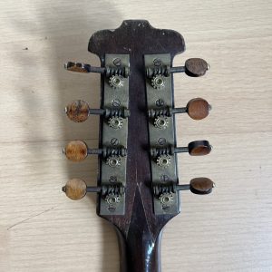 Viennese College of Music mandolin cased Made in Germany