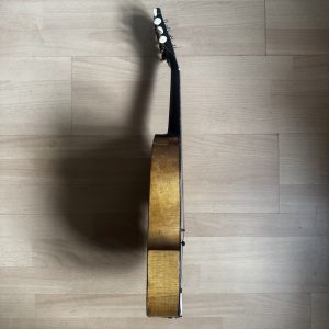 Viennese College of Music mandolin with white Art Nouveau pickguard