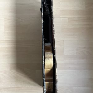 Viennese College of Music mandolin cased Made in Germany