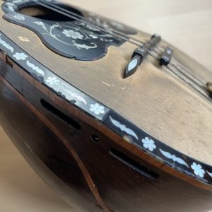 1896 Cav. Giovanni de Meglio e Figlio Neapolitan Mandolin cased