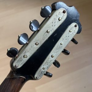1896 Cav. Giovanni de Meglio e Figlio Neapolitan Mandolin cased