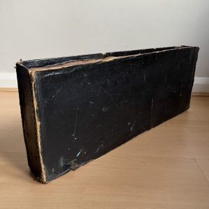 Viennese College of Music mandolin cased Made in Germany