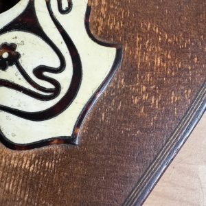 Viennese College of Music mandolin with white Art Nouveau pickguard