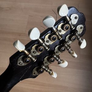 Viennese College of Music mandolin with white Art Nouveau pickguard