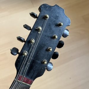 1896 Cav. Giovanni de Meglio e Figlio Neapolitan Mandolin cased