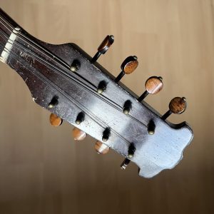 Viennese College of Music mandolin cased Made in Germany