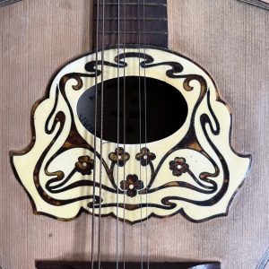 Viennese College of Music mandolin cased Made in Germany
