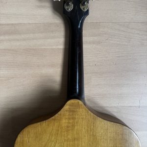 Viennese College of Music mandolin with white Art Nouveau pickguard