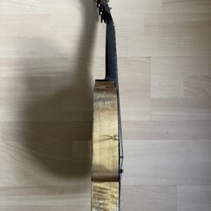 Viennese College of Music mandolin cased Made in Germany